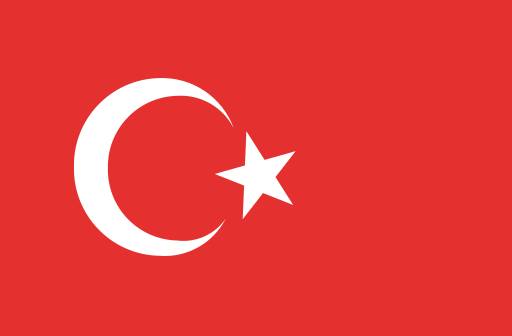 Current language flag